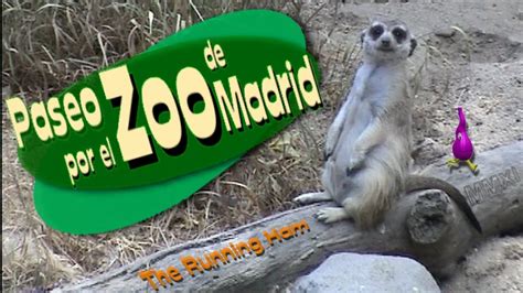 zoo por